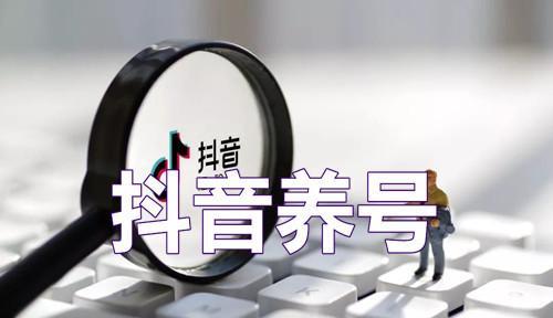 《神雕侠侣2》多号养号方法大揭秘（挖矿赚金币、升级技能轻松搬砖）
