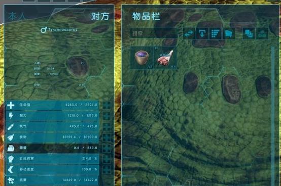 《阿卡迪亚神格符文新手搭配攻略》（掌握）