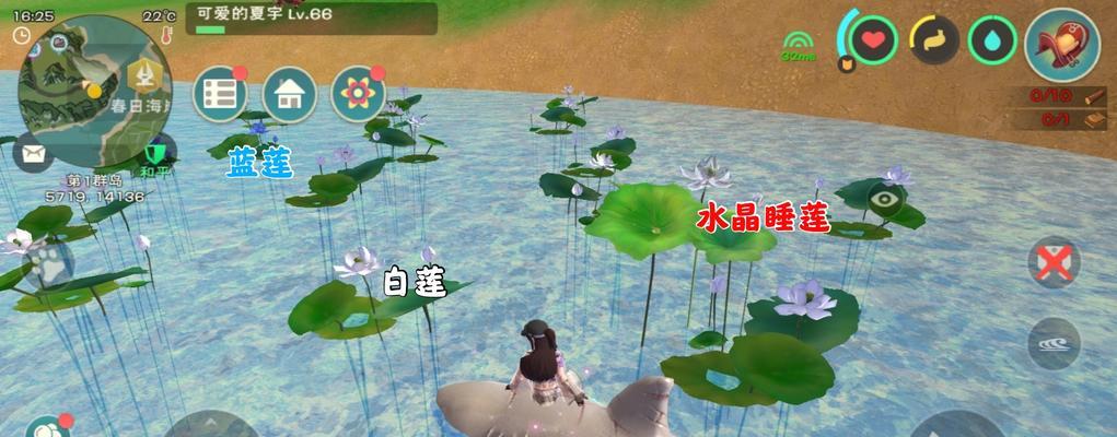 《创造与魔法暴力兔王驯服攻略》（探索游戏世界中的驯兽奇遇）