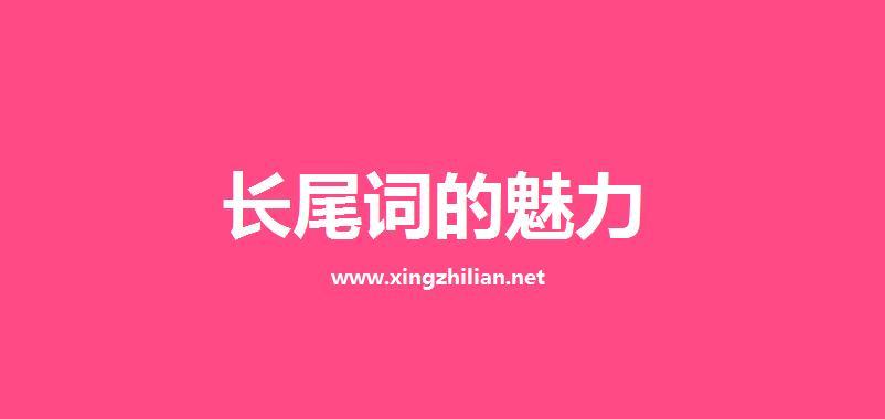 标签优化：使用相关长尾关键词作为标签