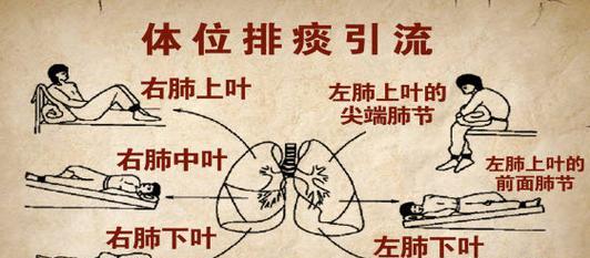 B站视频推广：光遇多人联机玩法与社交互动