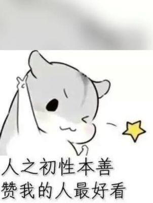 快手点赞神器：提升影响力的新工具解析
