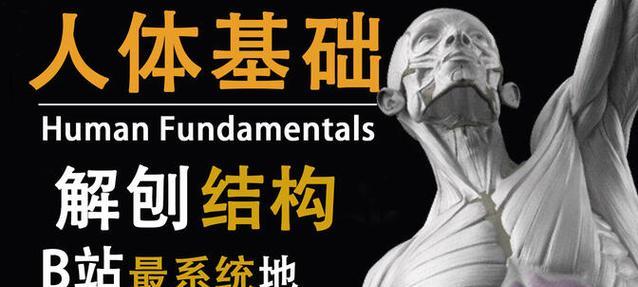 如何深度解析B站视频内容？