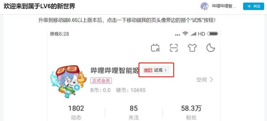 B站硬核会员：精华内容与专享权益的深度解析