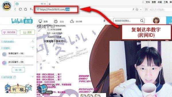 B站弹幕姬解析：弹幕文化的魅力与操作指南