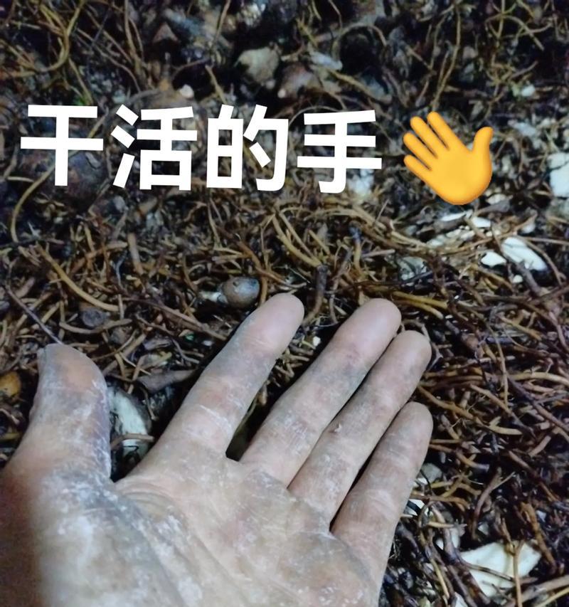 附子SEO：提升网站排名的实战指南