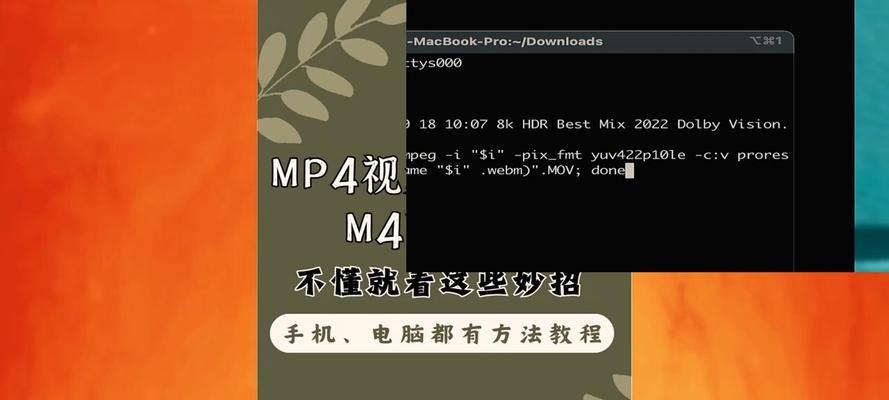 B站缓存怎么清理？全面指南助你优化观看体验