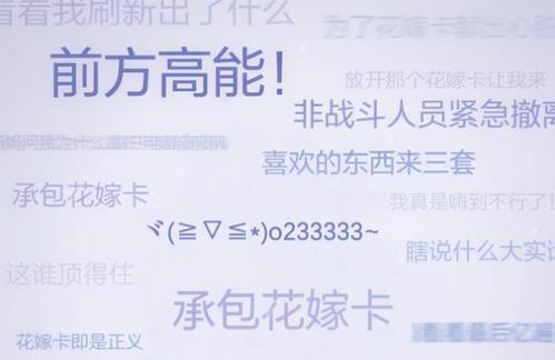 哔哩哔哩弹幕屏蔽关键词