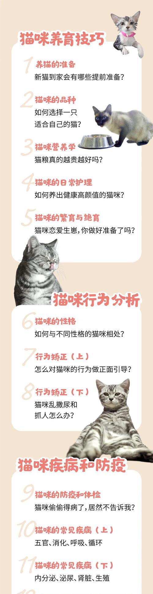 哔哩哔哩不能搜索关键词了吗：真相与解决之道