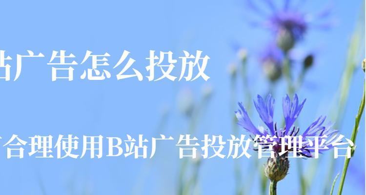 B站推广服务商：揭秘这一神秘平台背后的产品力量