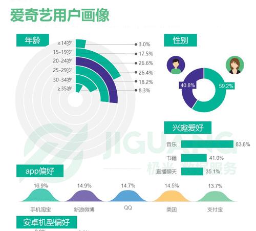 标题：掌握App用户画像生成器：精准构建目标用户群体