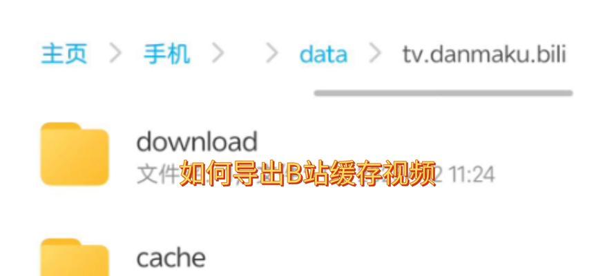 B站视频下载缓存的详细指南