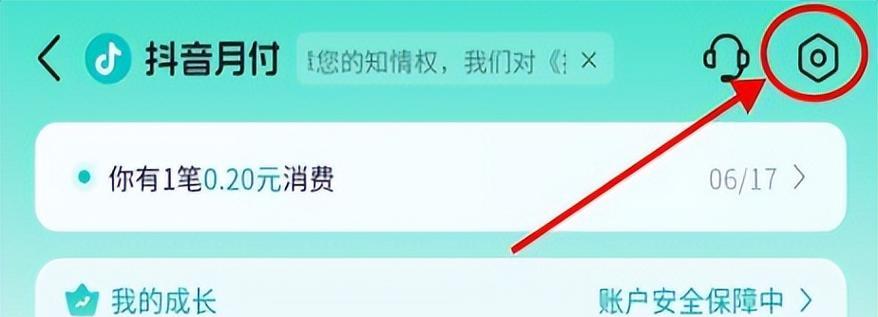 怎么关闭抖音月付功能