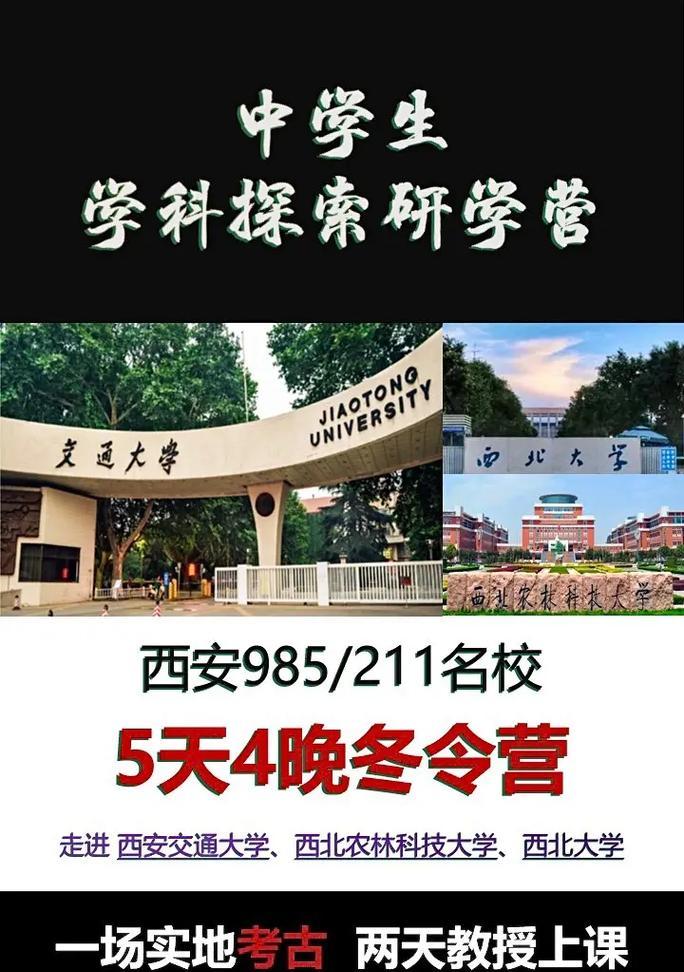 抖音实名认证全流程攻略