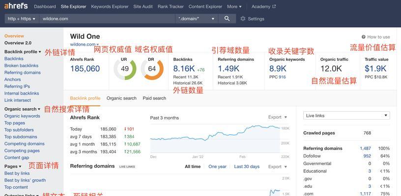 SEO查询工具：让网站优化触手可及