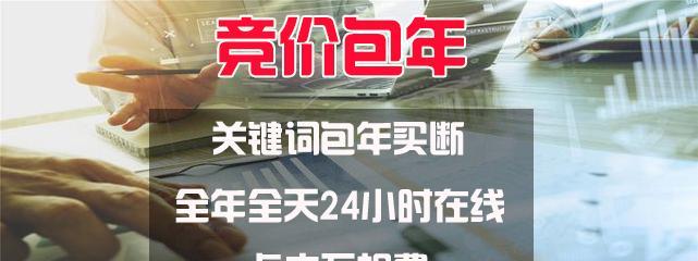 竞价SEO：如何通过竞价推广实现搜索引擎优化的精准提升