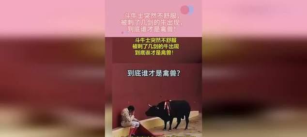 斗牛seo是什么？如何有效提升网站排名？