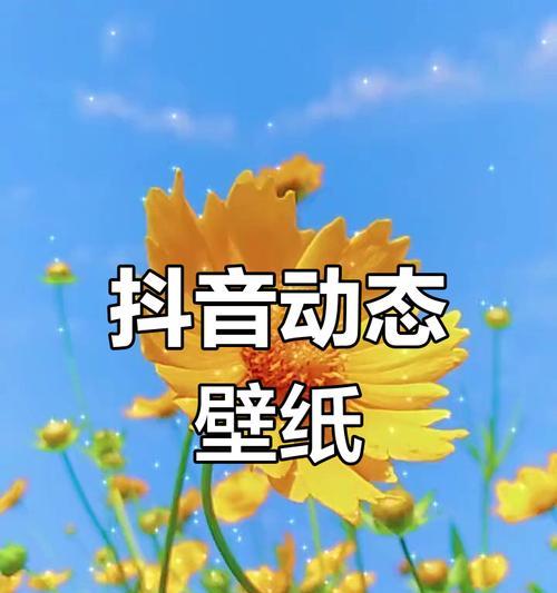 抖音如何设置壁纸？设置个性壁纸的步骤是什么？