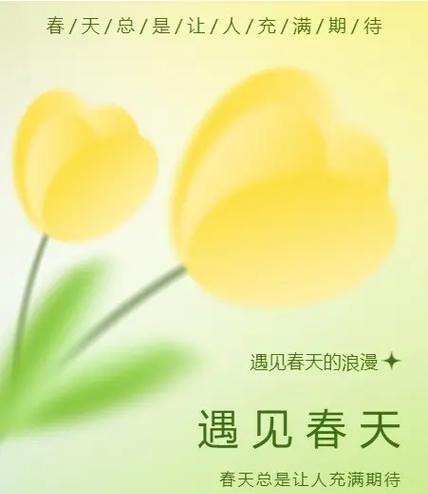 抖音怎么举报：让网络环境更清朗