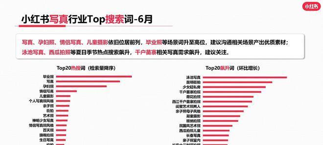 网站SEO分析报告案例