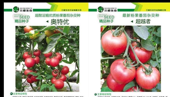 种子关键词：优化之钥打造内容的力量