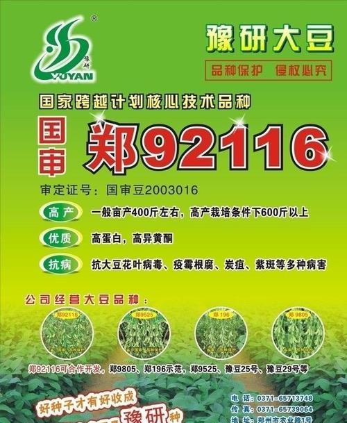 种子关键词：优化之钥打造内容的力量