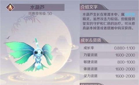 未实名用户如何处理？完美世界中实名认证的步骤是什么？